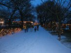 Walking in the Zoo