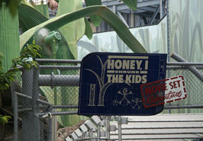 Disney photo